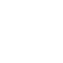 deluxe logo